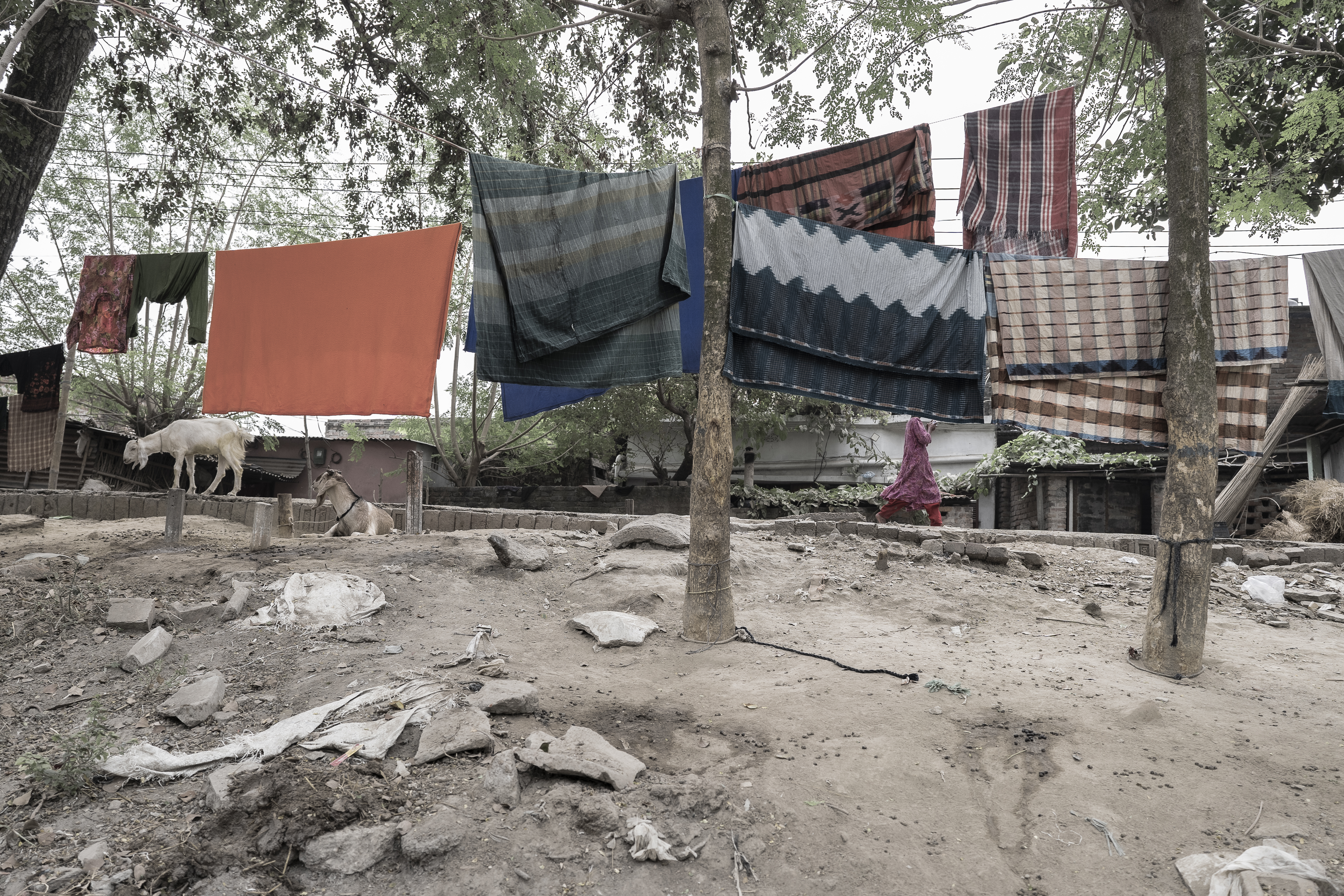 rajshahi washing line